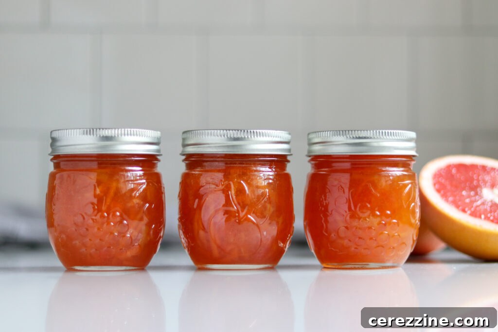 More Than 16 Zesty Grapefruit Canning Ideas 5 grapefruit marmalade