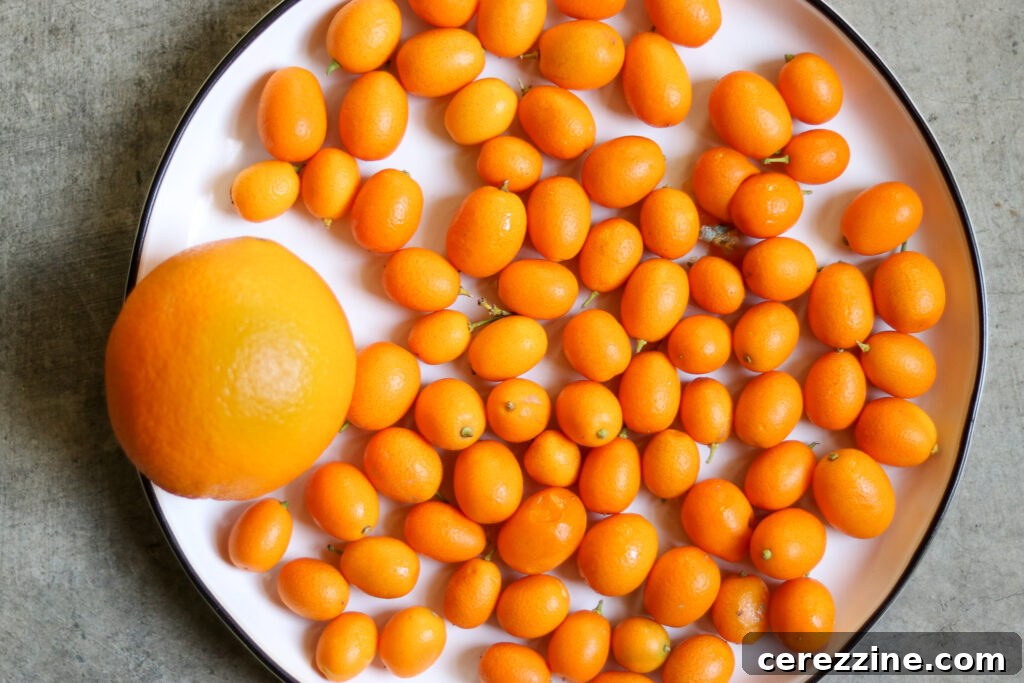 Preparing fresh kumquats for a canning recipe