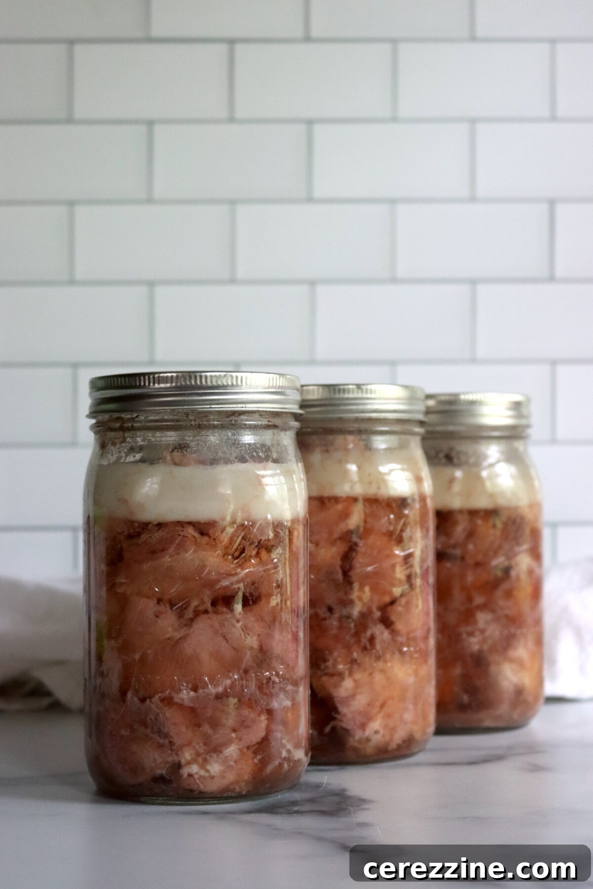 The Art of Canning Pork 10 Canning Pork