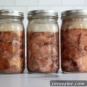 The Art of Canning Pork 11 Canning Pork