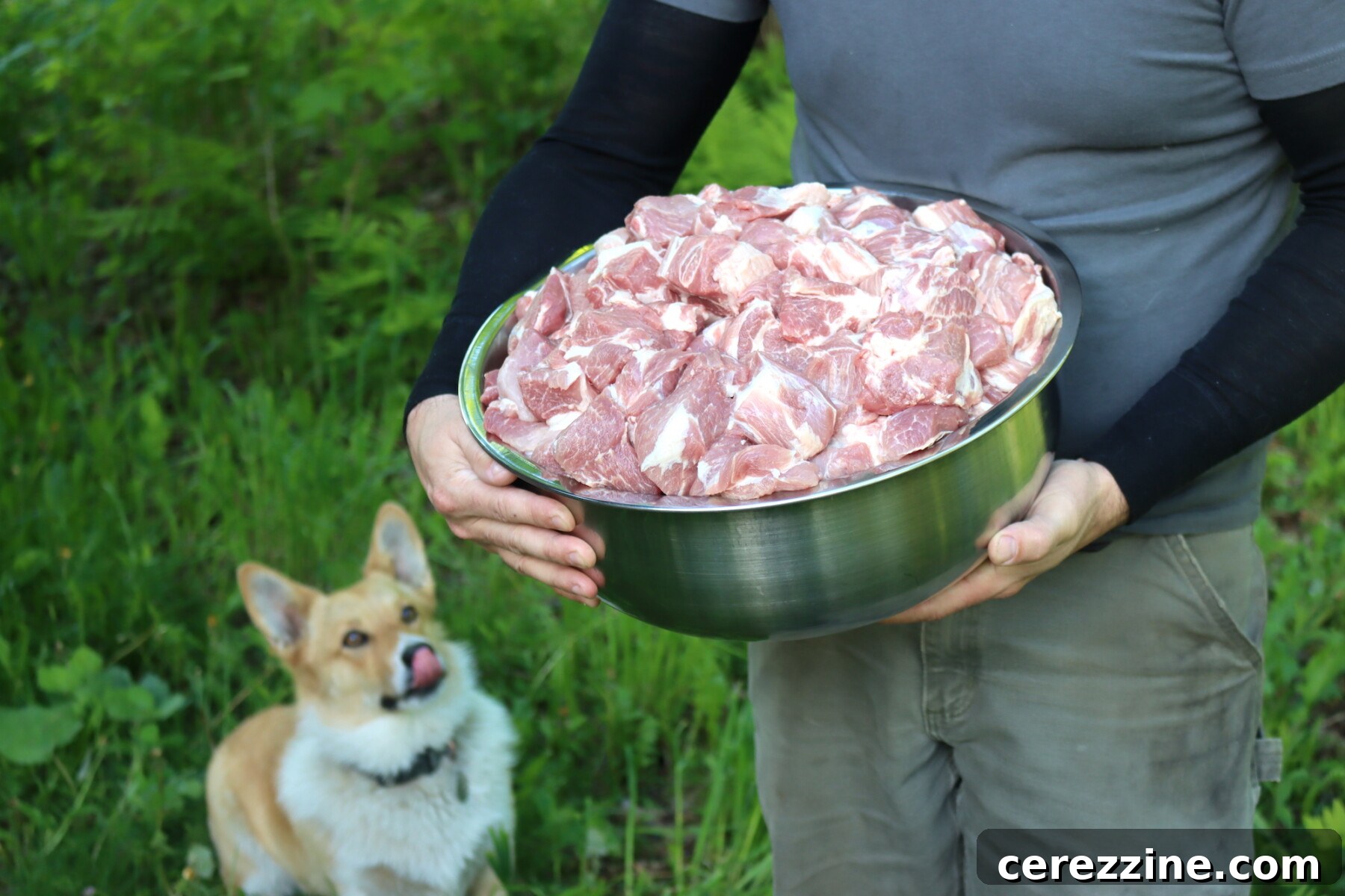 The Art of Canning Pork 3 Pork Shoulder