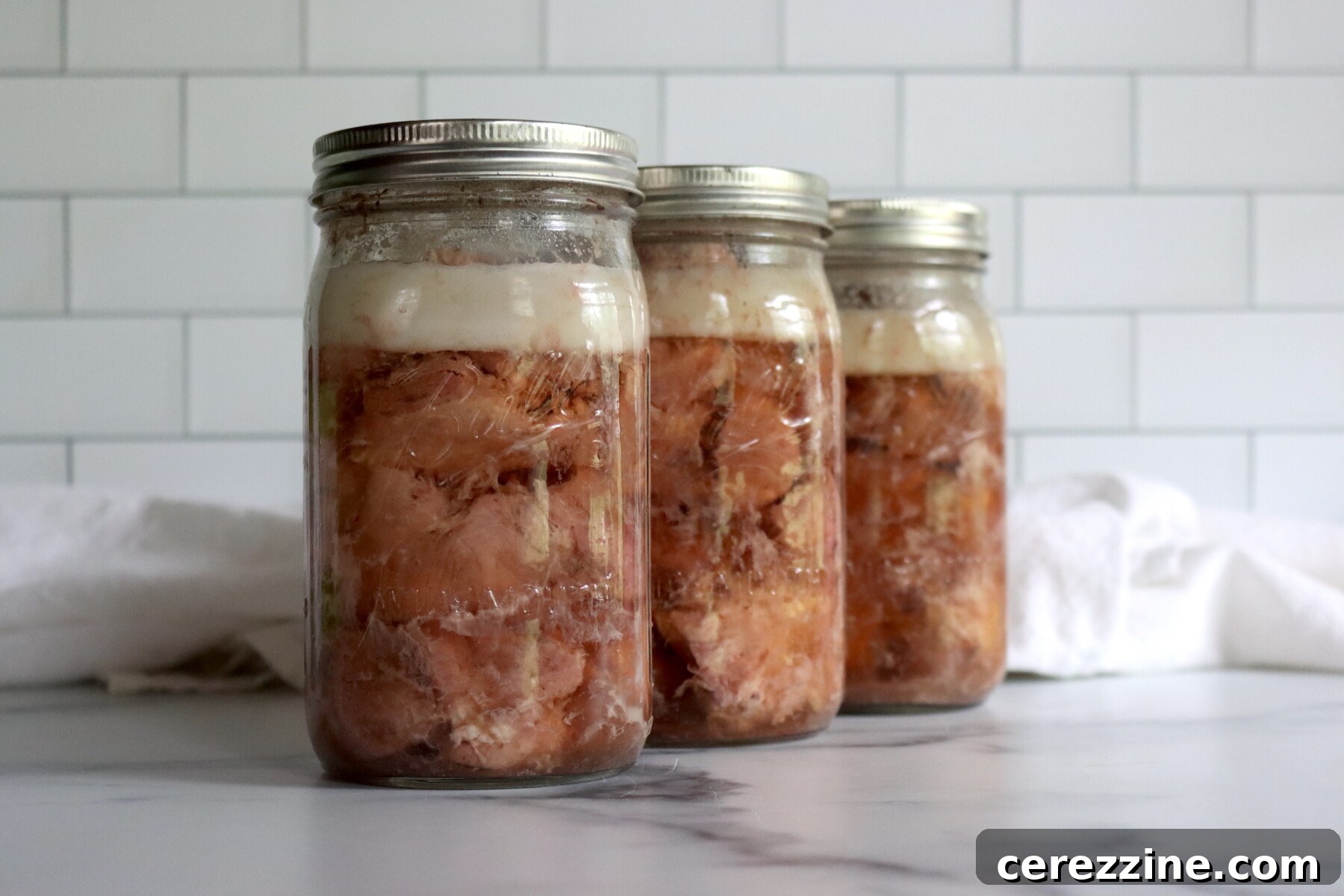 The Art of Canning Pork 9 Canning Pork