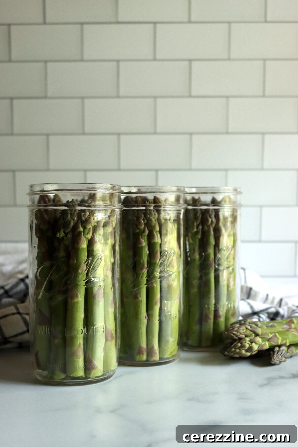Fresh Asparagus Ready for Canning