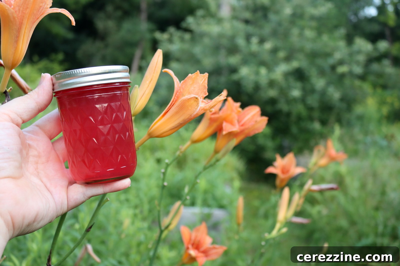 featured 36830