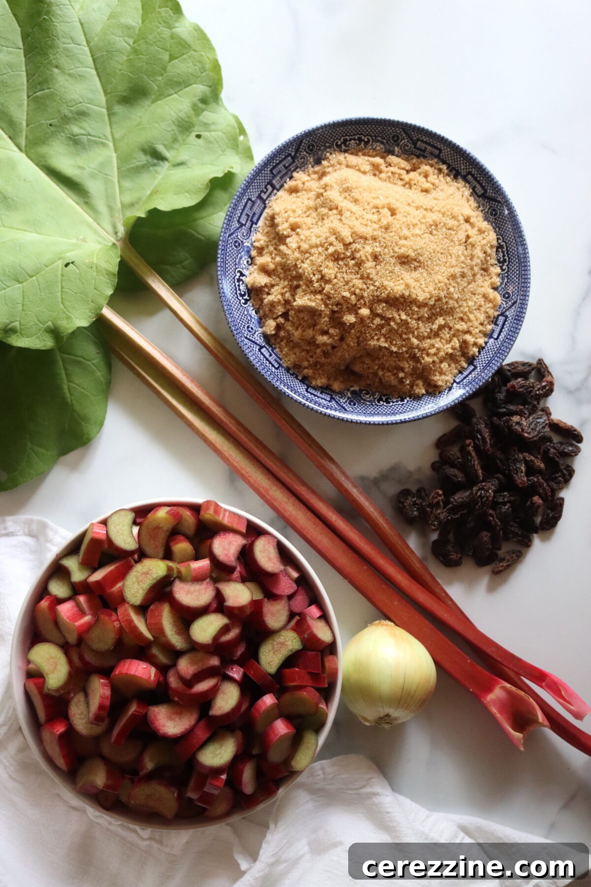 Close-up of Rhubarb BBQ Sauce ingredients