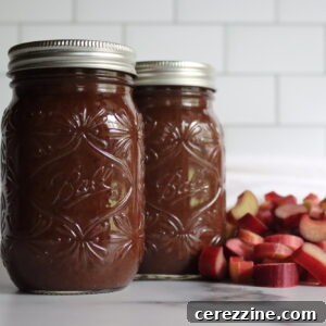 Rhubarb BBQ Sauce
