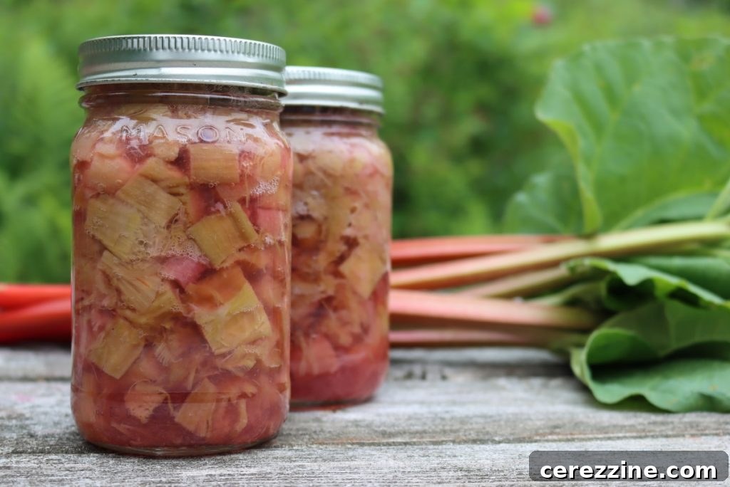Canning Rhubarb in Syrup