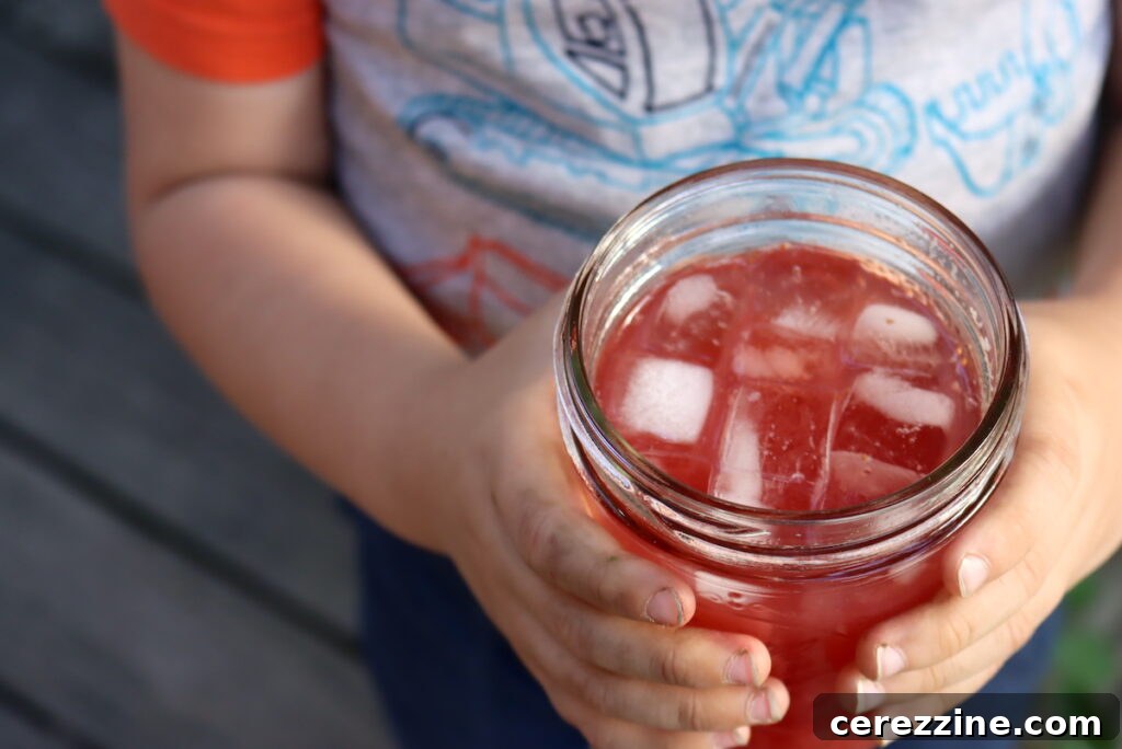 Making Delicious Strawberry Lemonade Concentrate at Home