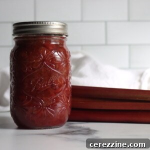 Bright & Tangy Rhubarb Sauce 7 Rhubarb Sauce