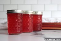 Tangy Rhubarb Syrup