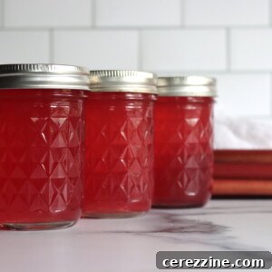 Rhubarb Syrup