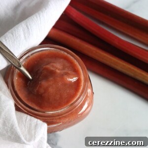 Tangy Rhubarb Butter 8 Rhubarb Butter