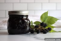 Shimmering Blackberry Essence
