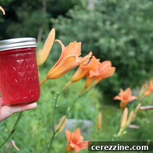 Daylily Jelly