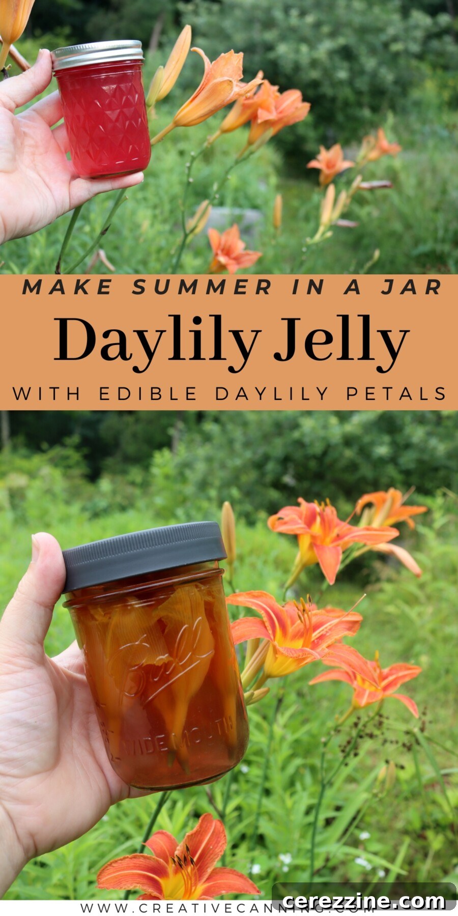 Golden Daylily Preserve 11 Daylily Jelly recipe with fresh daylilies
