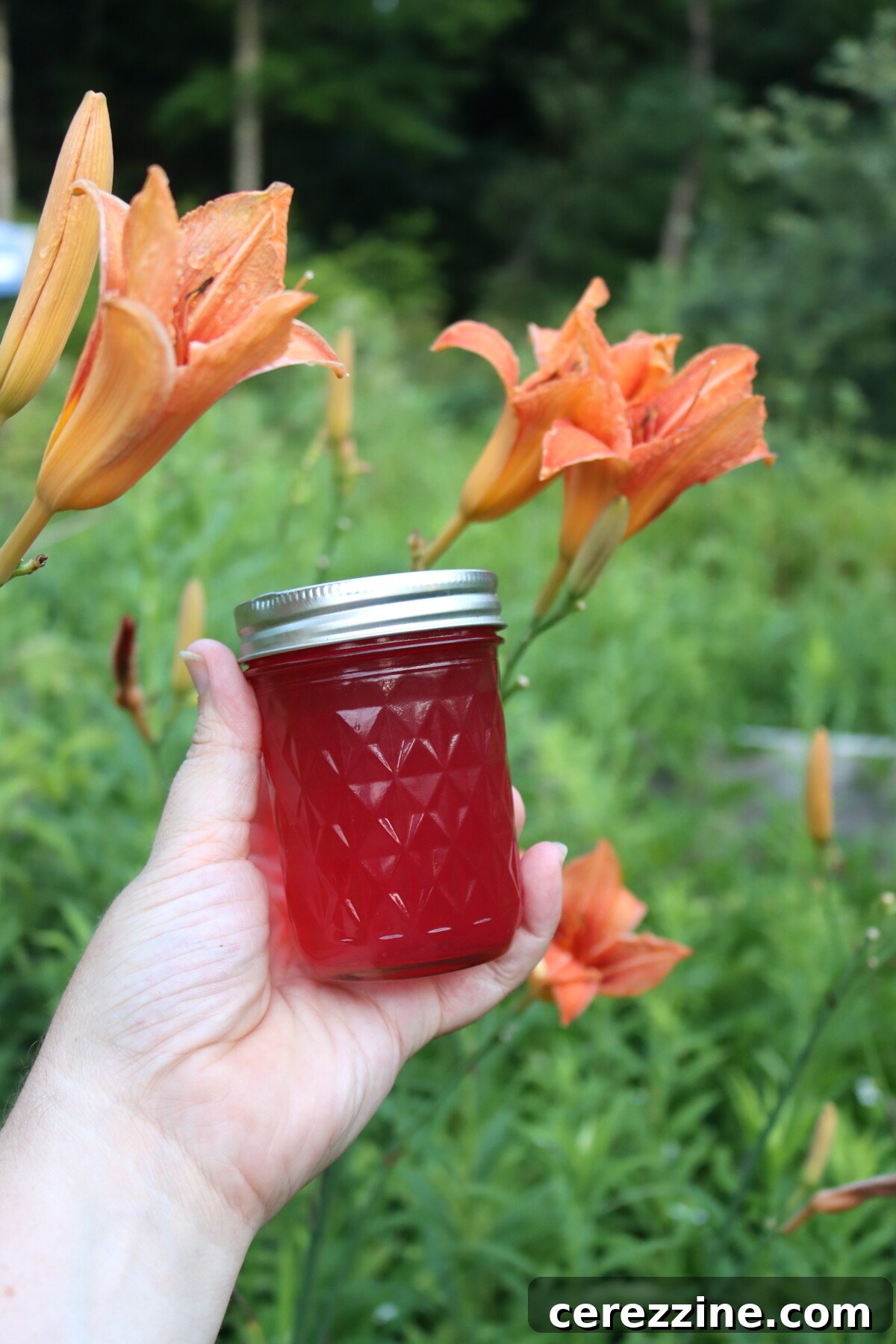 Golden Daylily Preserve 5 Daylily Jelly