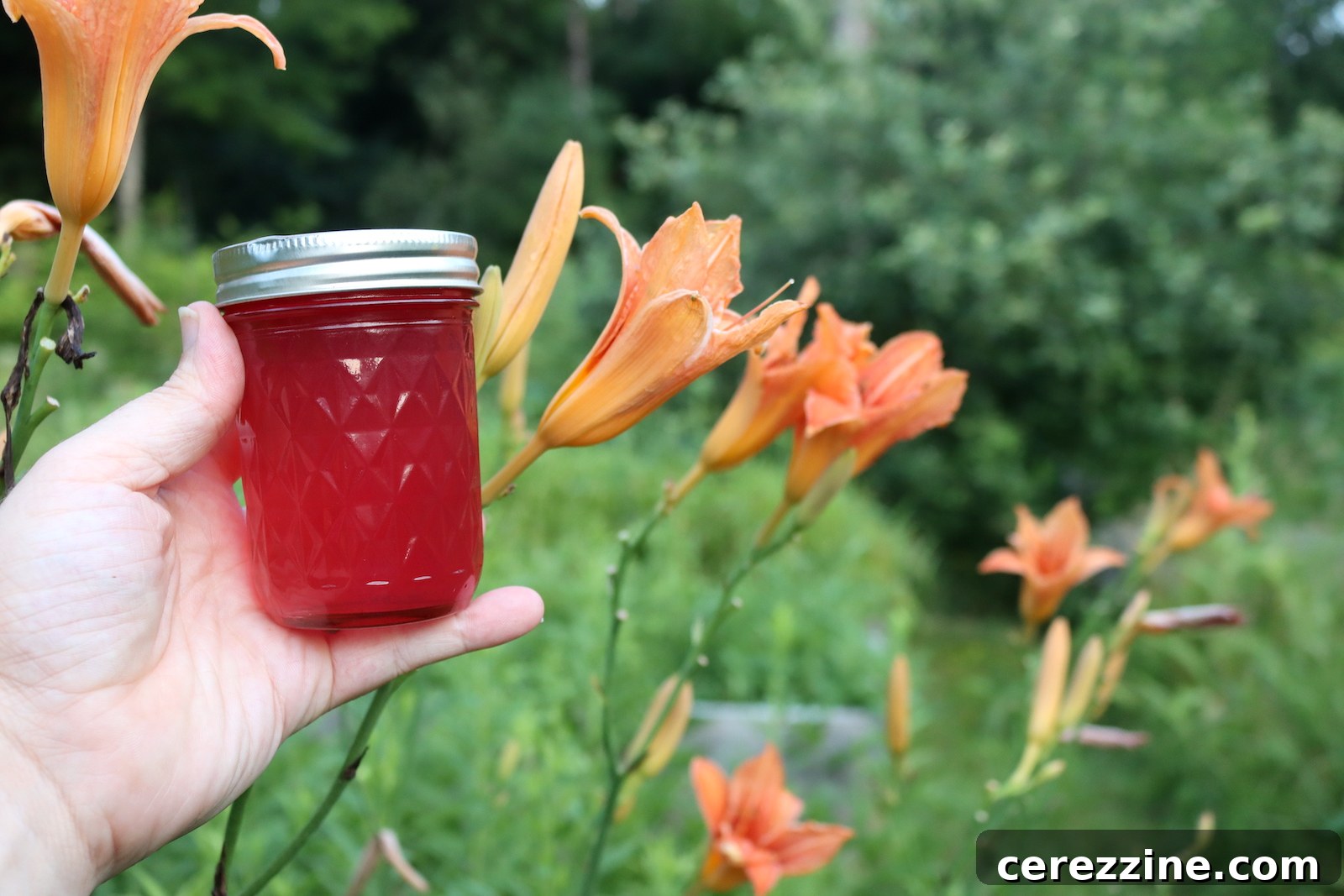 Golden Daylily Preserve 9 Canned Daylily Jelly