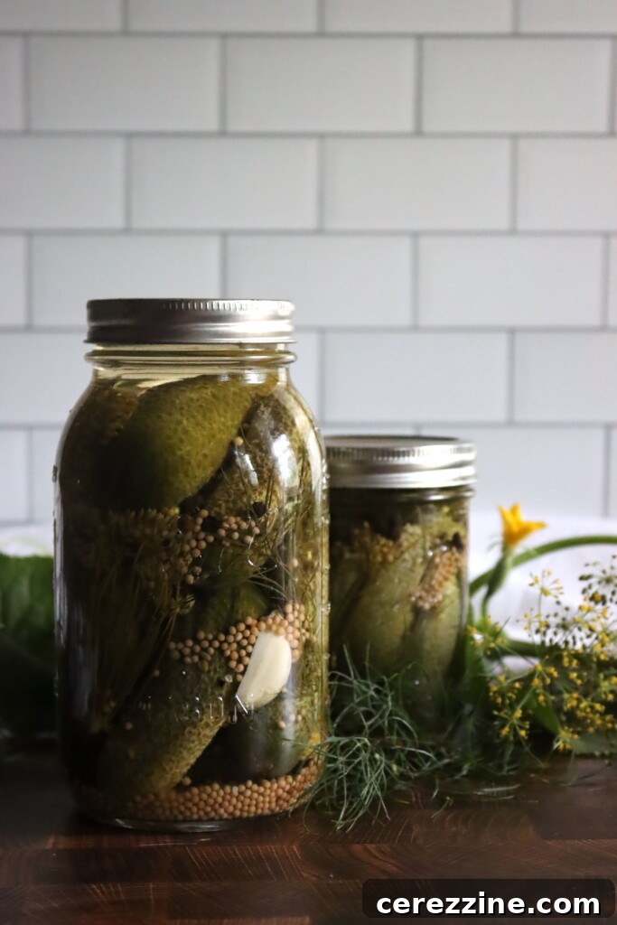 Kosher Dill Pickles