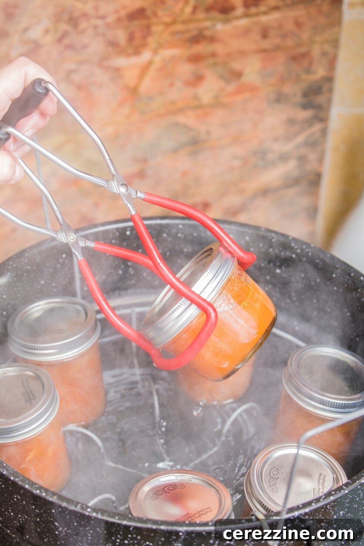 Canning Jar Lifter
