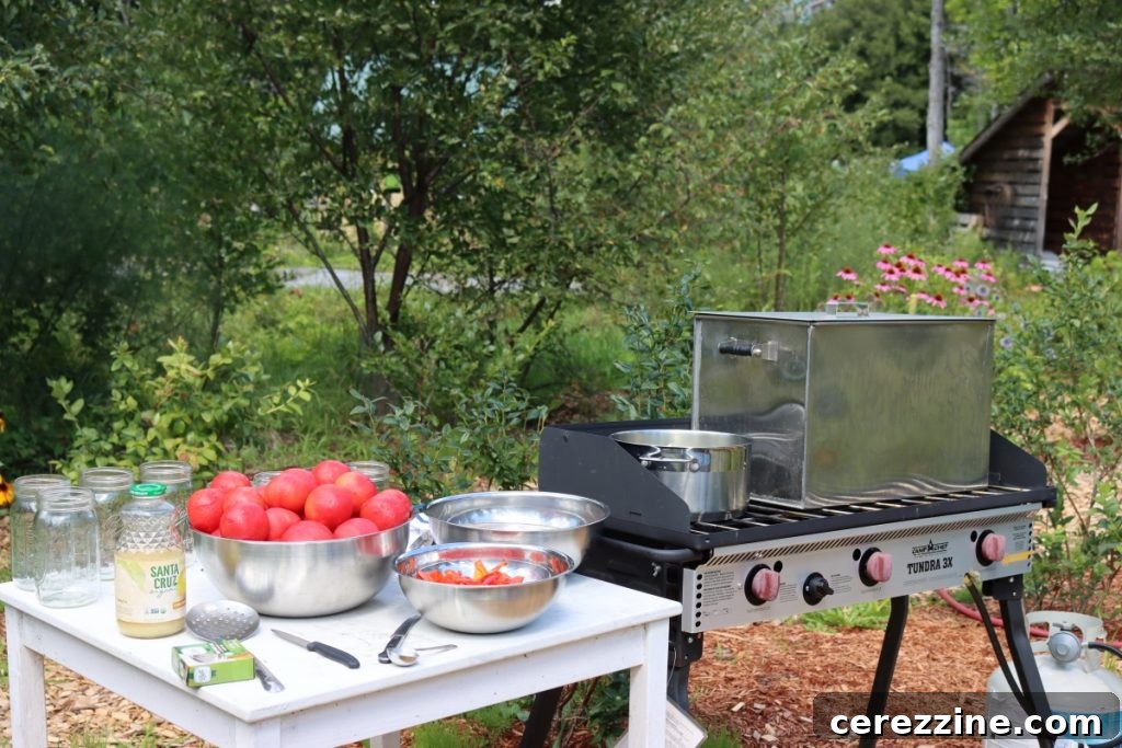 Canning Tomatoes Outdoors