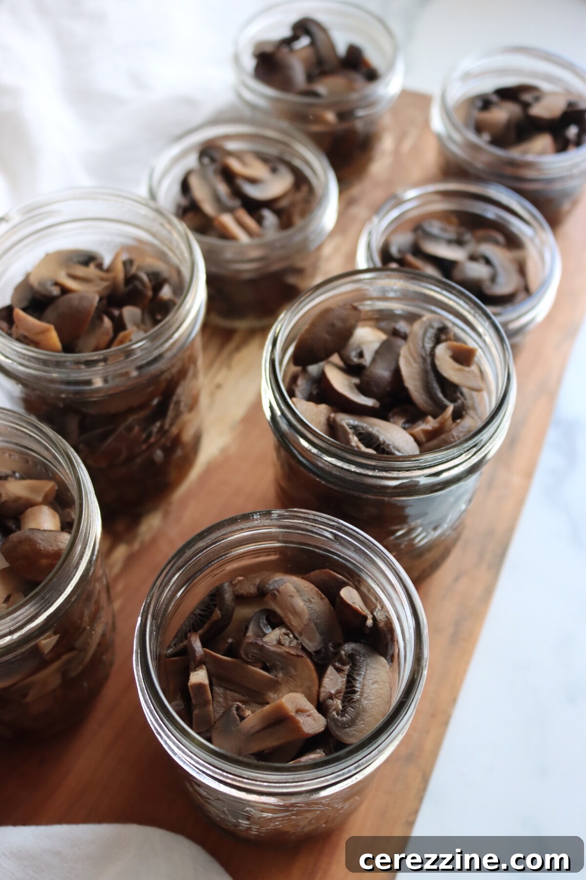 Preserving Mushroom Perfection 5 Mushrooms