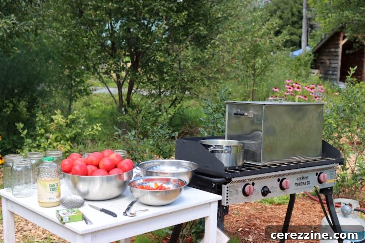Mastering Tomato Acidification for Safe Home Canning 4 Canning Tomatoes Outdoor Canning Kitchen - Prepping for Safety