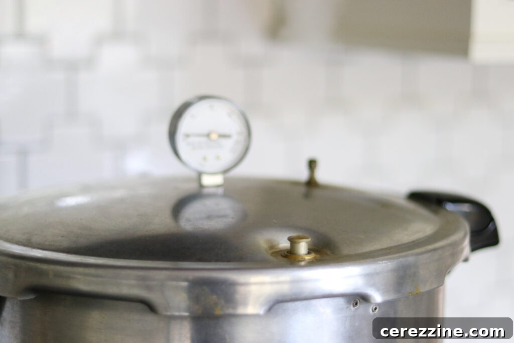 Dial Pressure canner