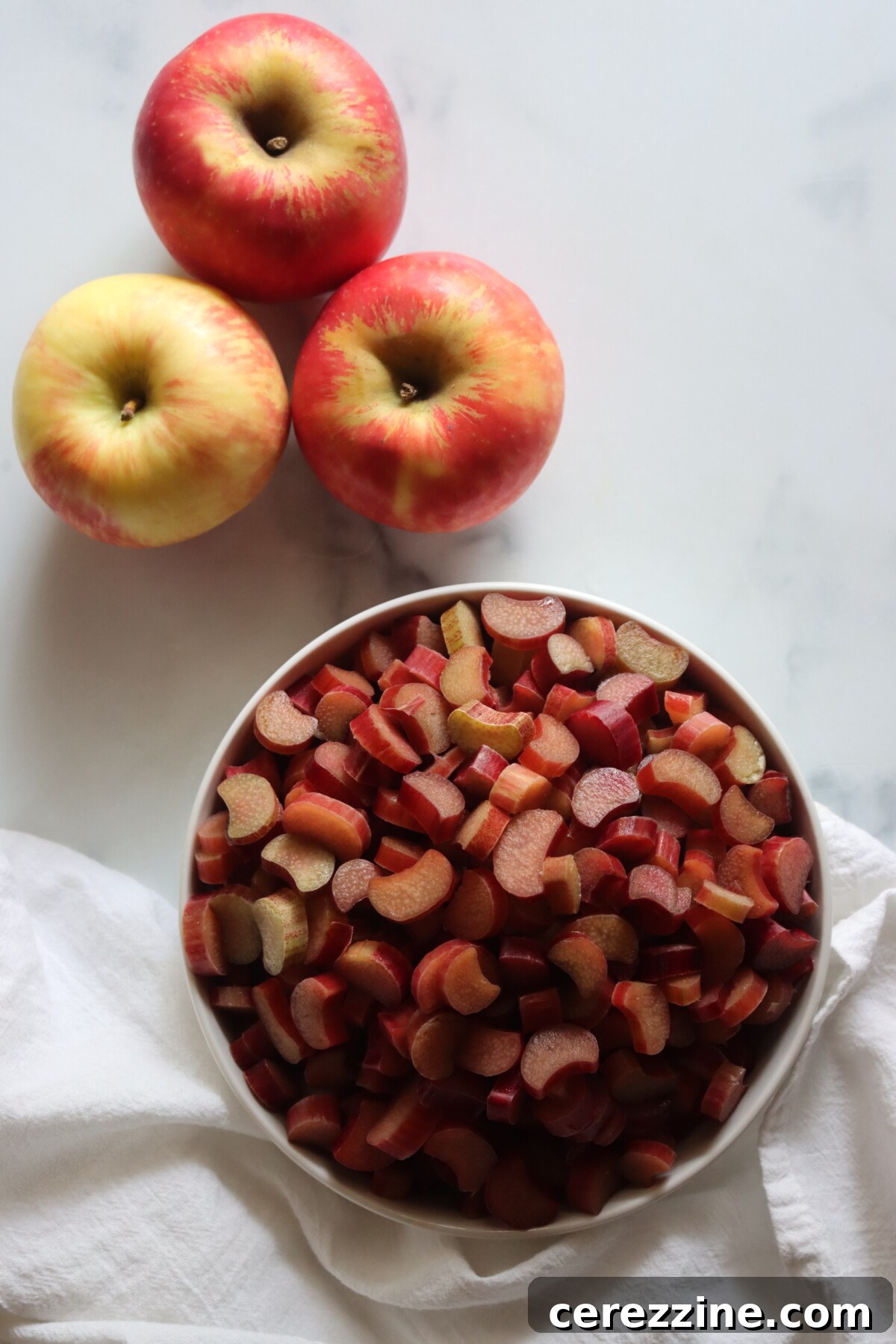 Rhubarb Applesauce Ingredients on a table