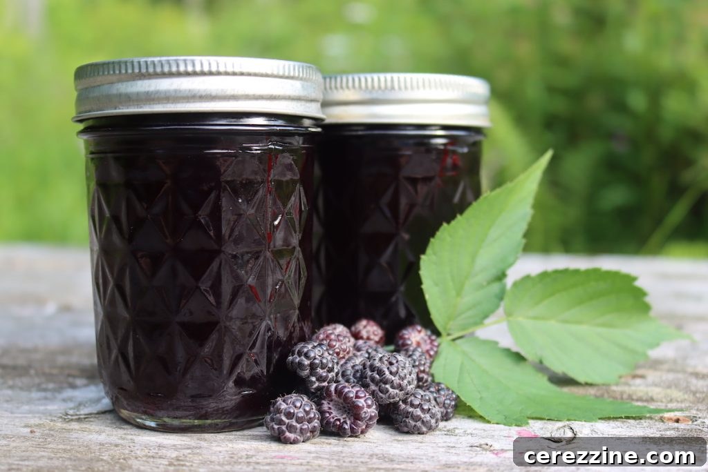 Black Raspberry Jelly
