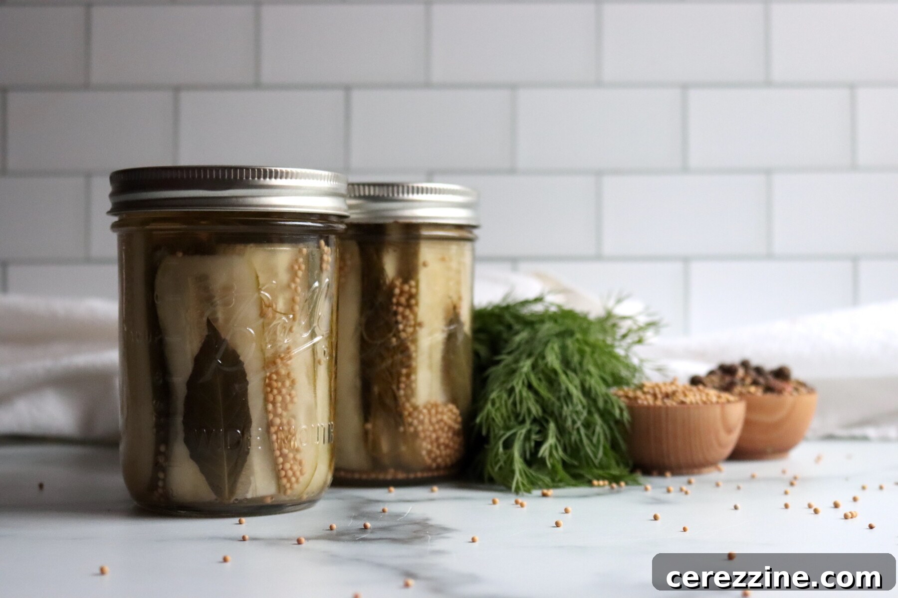 Deli Style Dill Pickles Slices