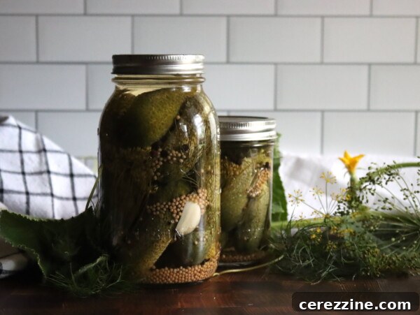 Kosher Dill Pickles