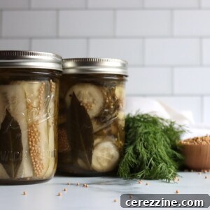 Deli Style Dill Pickles Slices