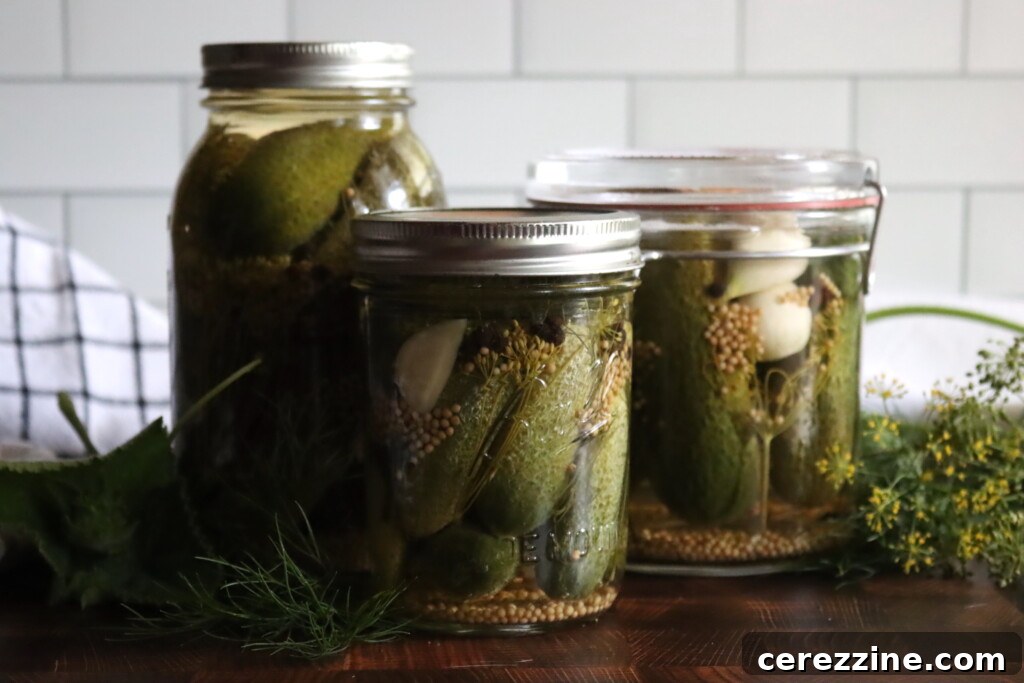 Cucumber Pickle Recipes