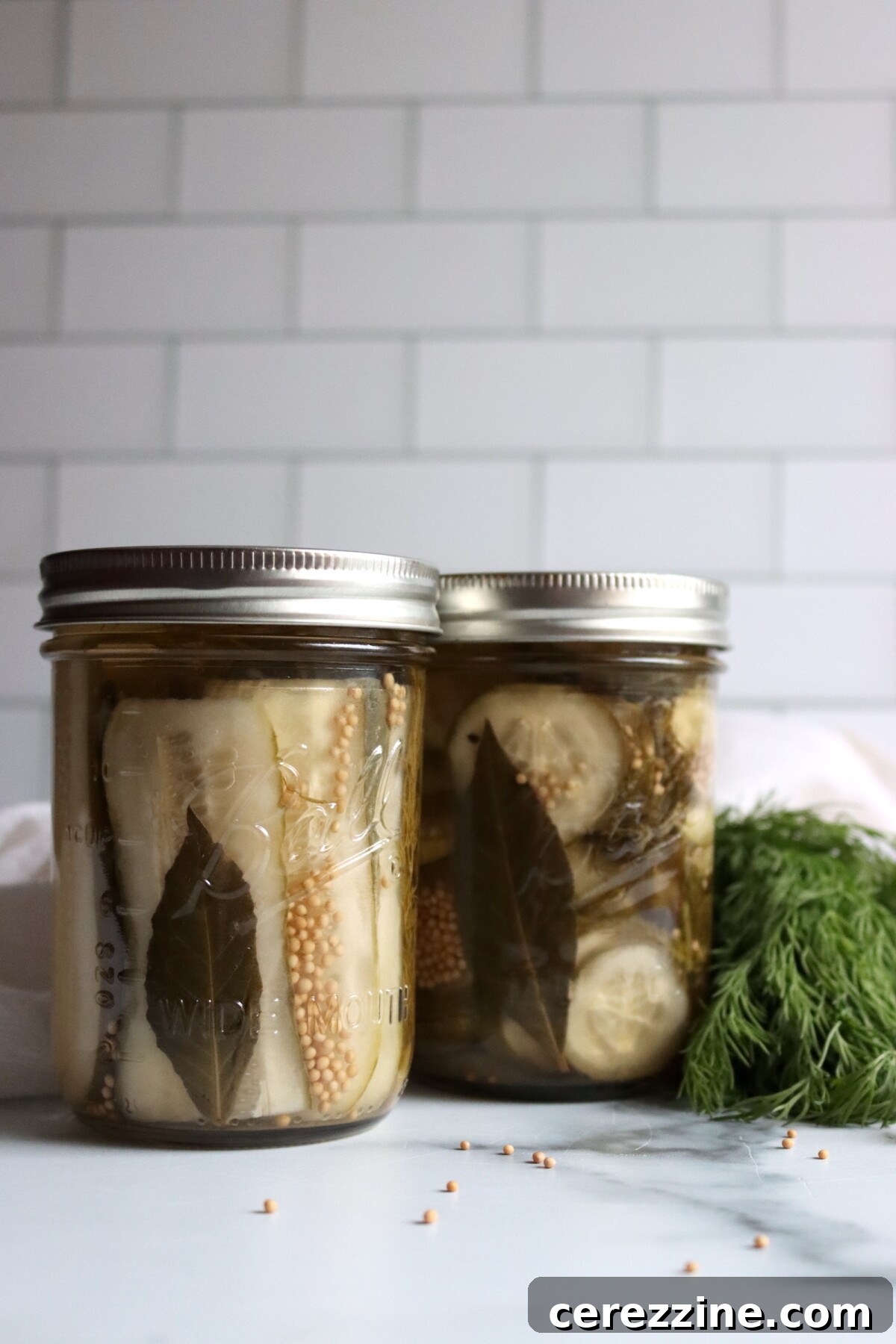 Deli Style Dill Pickles Slices