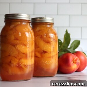 Canning Nectarines