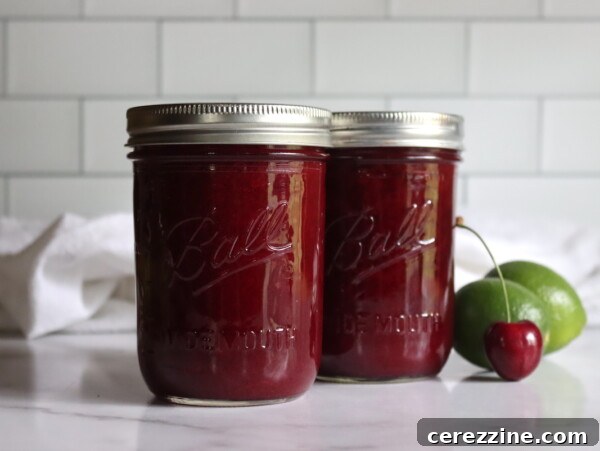 Cherry Limeade Concentrate