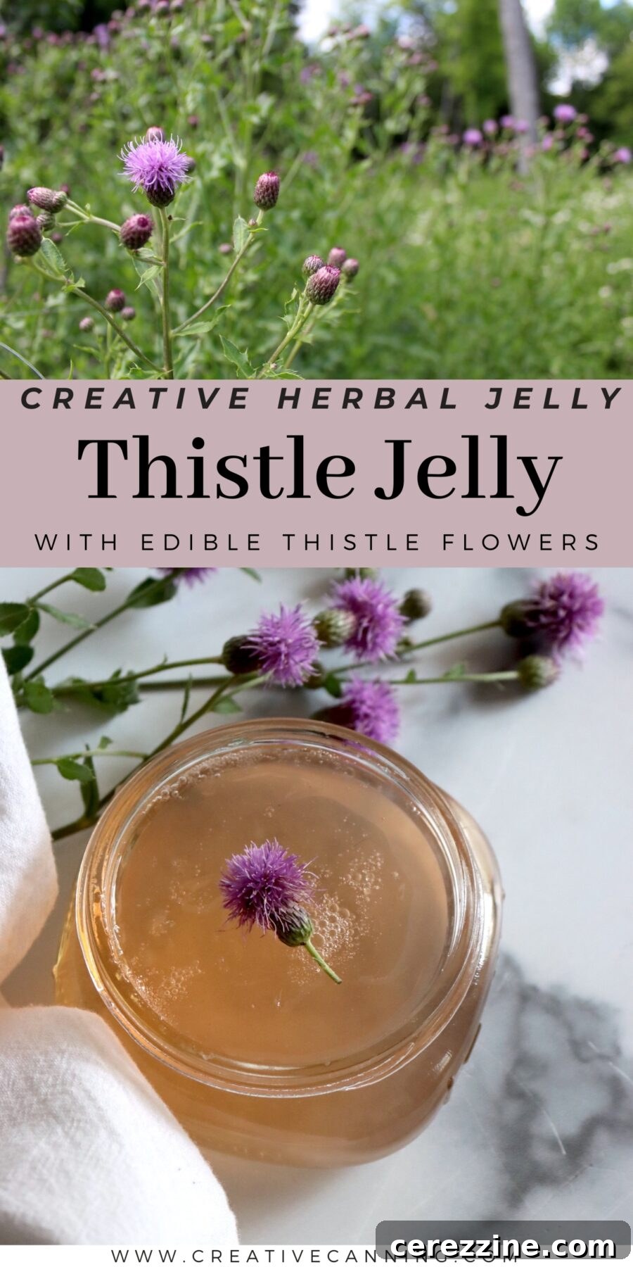 Nectar of the Thorn 11 A tall image of Thistle Jelly for Pinterest