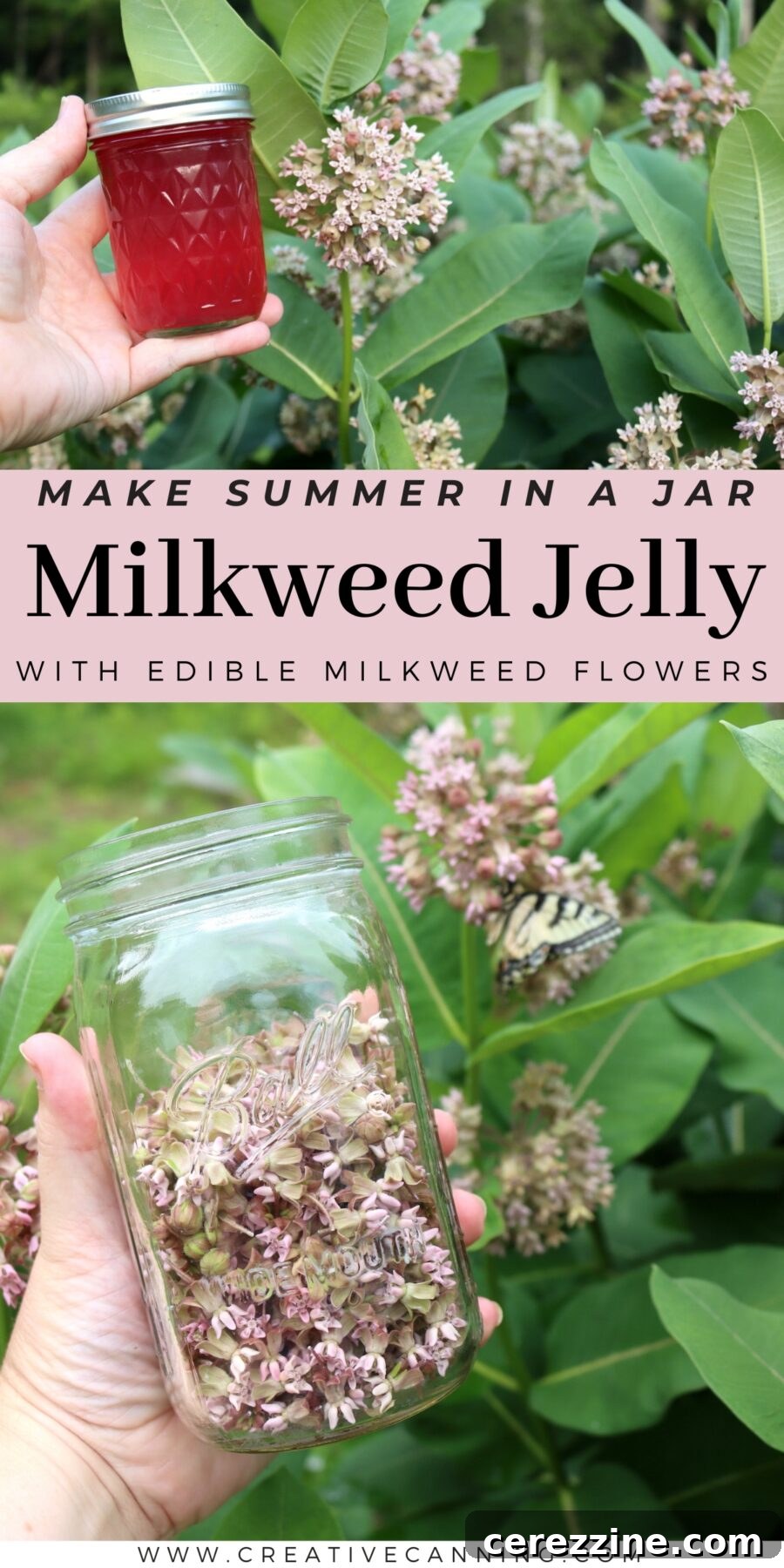 A long pin image for milkweed flower jelly recipe.