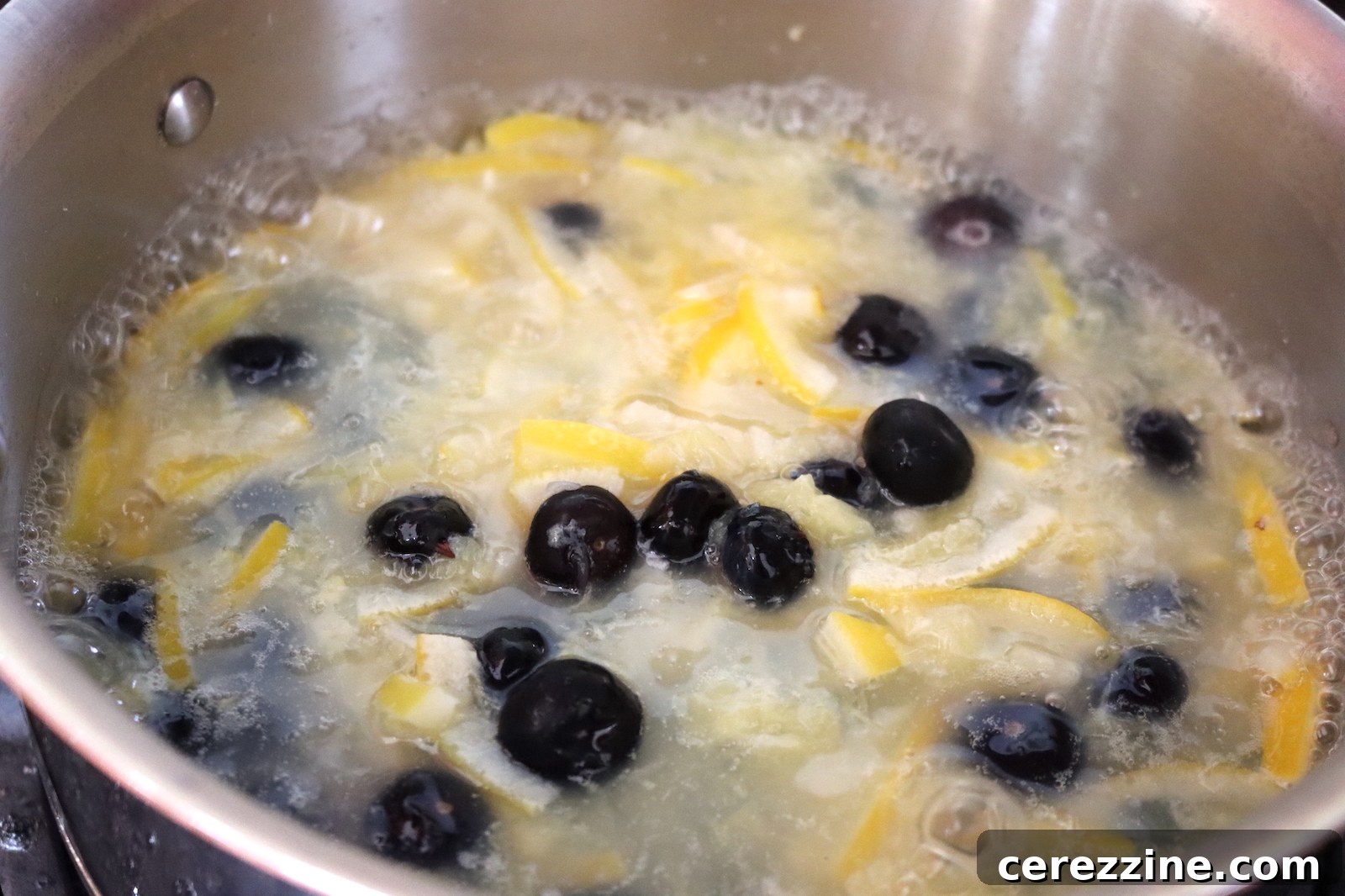 Making Blueberry Marmalade