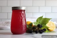 Blackberry Lemonade Concentrate: Make Refreshing Homemade Syrup