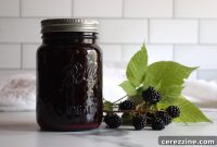 Fresh Blackberry Juice Recipe: Refreshing Homemade Beverage