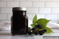 Homemade Blackberry Syrup Recipe for Pancakes & Desserts