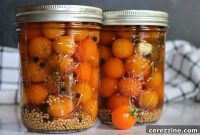 Tangy Dill-Pickled Cherry Tomatoes: Quick Refrigerator Recipe