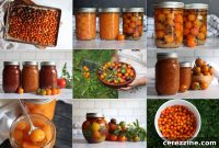 Over 12 Delicious Cherry Tomato Recipes for Canning and Preserving
