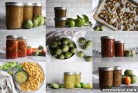 Over 20 Tomatillo Canning Recipes for Salsa and Sauces