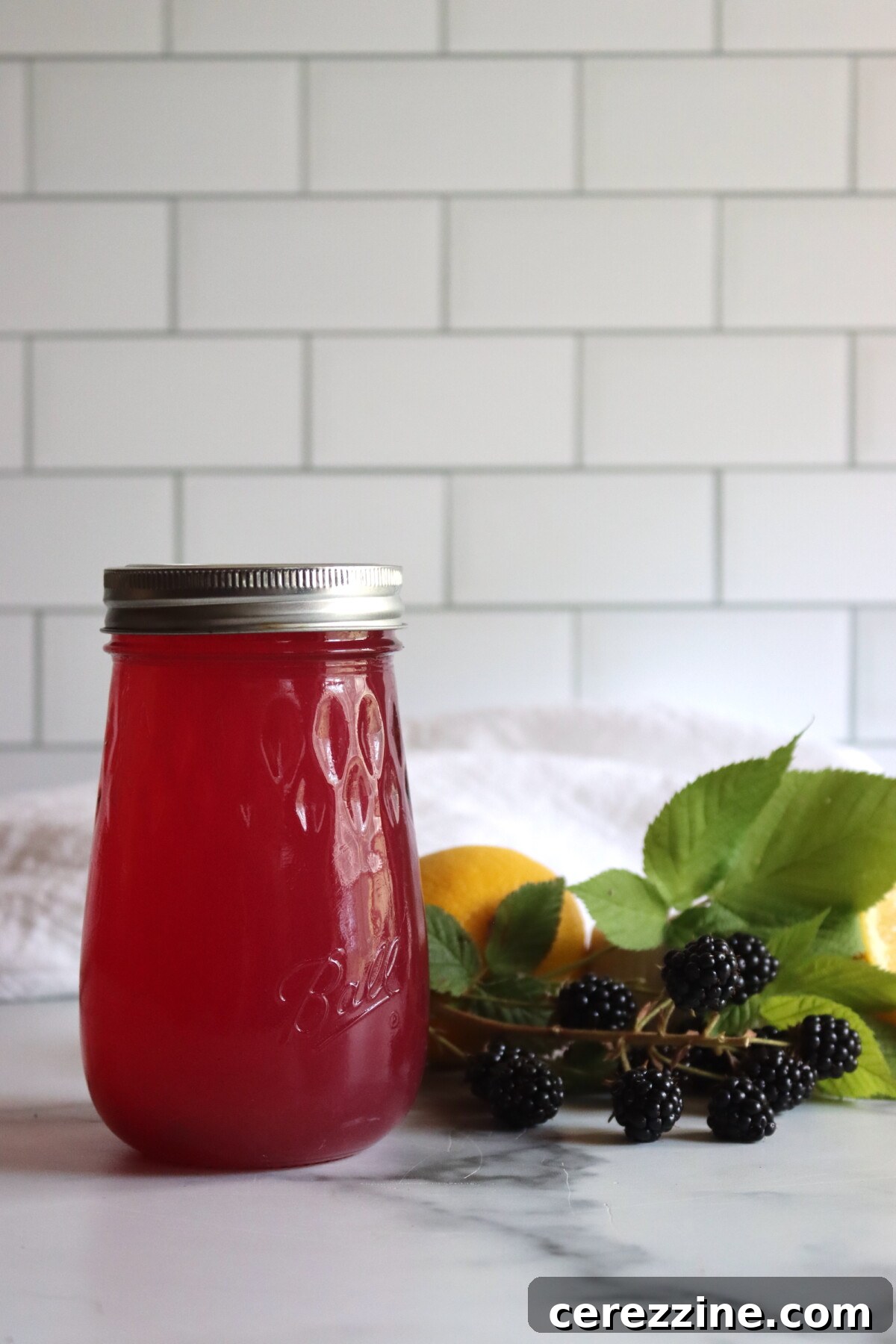 Blackberry Lemonade Concentrate