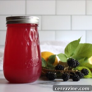 Blackberry Lemonade Concentrate