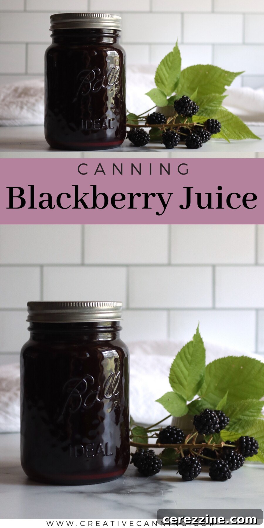 Blackberry Juice Canning Recipe