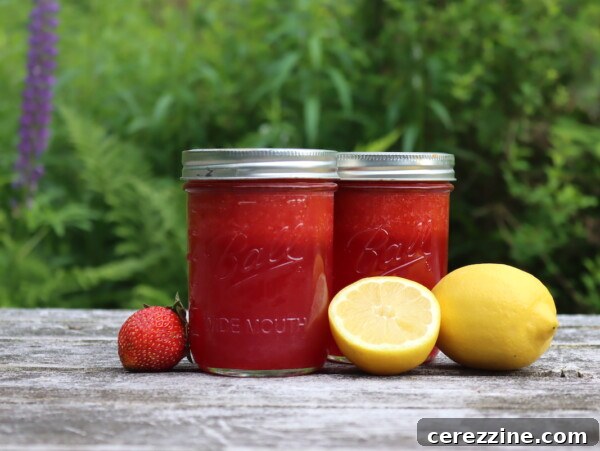 Raspberry Lemonade Concentrate Recipe: Make Ahead Drink Mix 10 Canning Strawberry Lemonade Concentrate