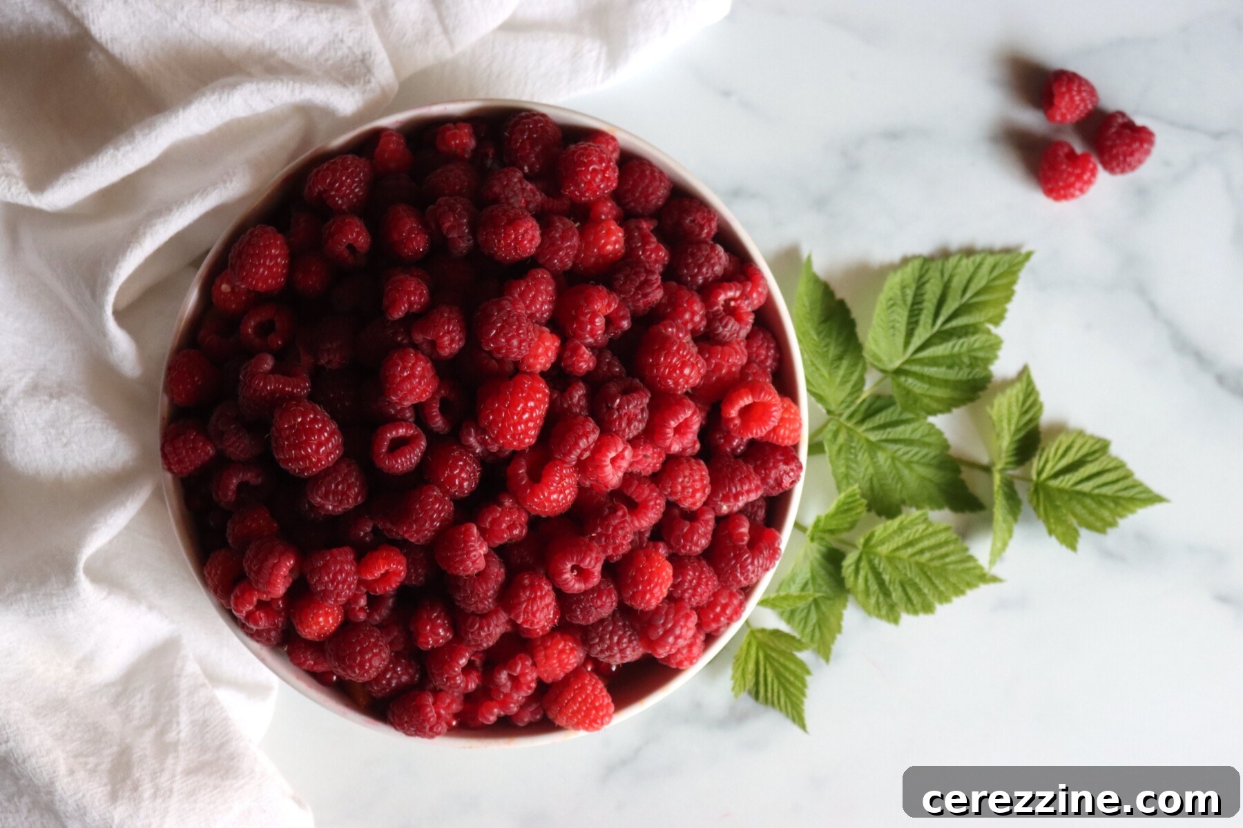 Raspberry Lemonade Concentrate Recipe: Make Ahead Drink Mix 5 img 35628 4